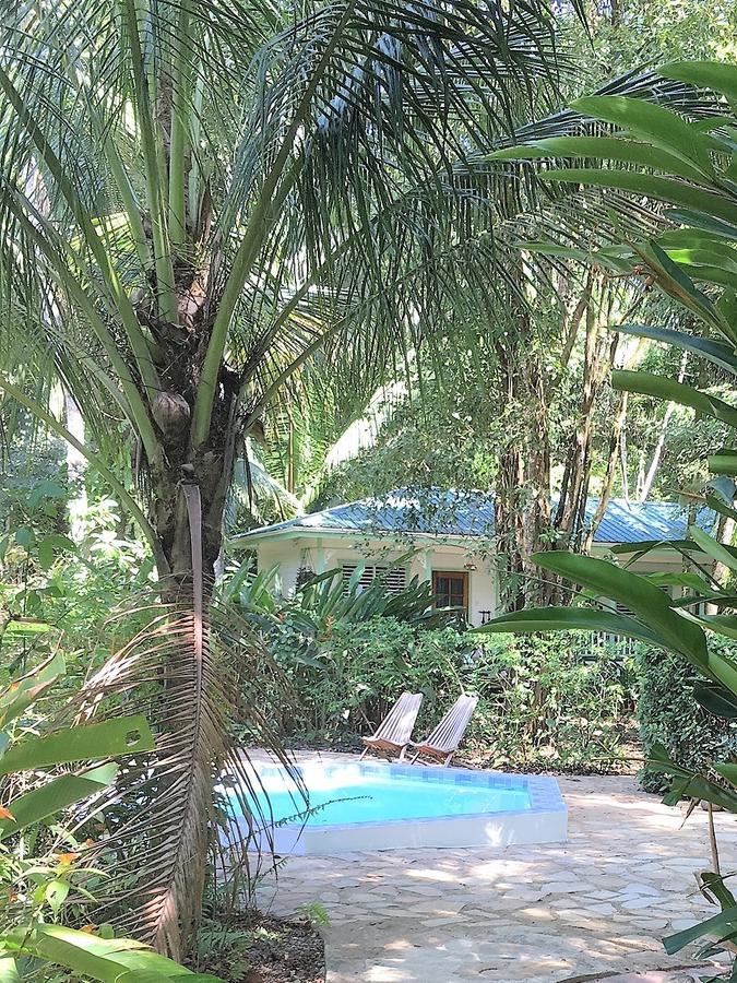 Hickatee Cottages, Belize, Central America Punta Gorda Ngoại thất bức ảnh
