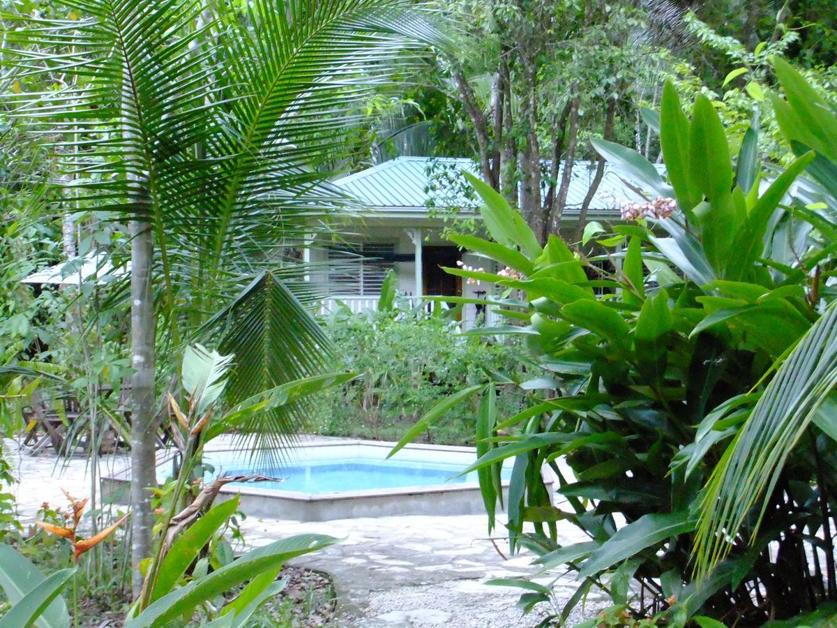 Hickatee Cottages, Belize, Central America Punta Gorda Ngoại thất bức ảnh