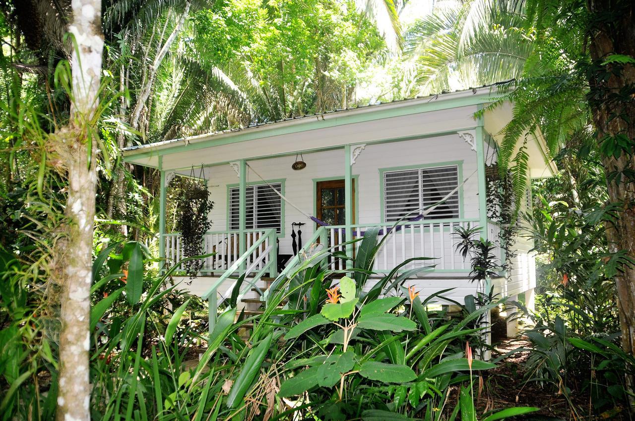 Hickatee Cottages, Belize, Central America Punta Gorda Ngoại thất bức ảnh