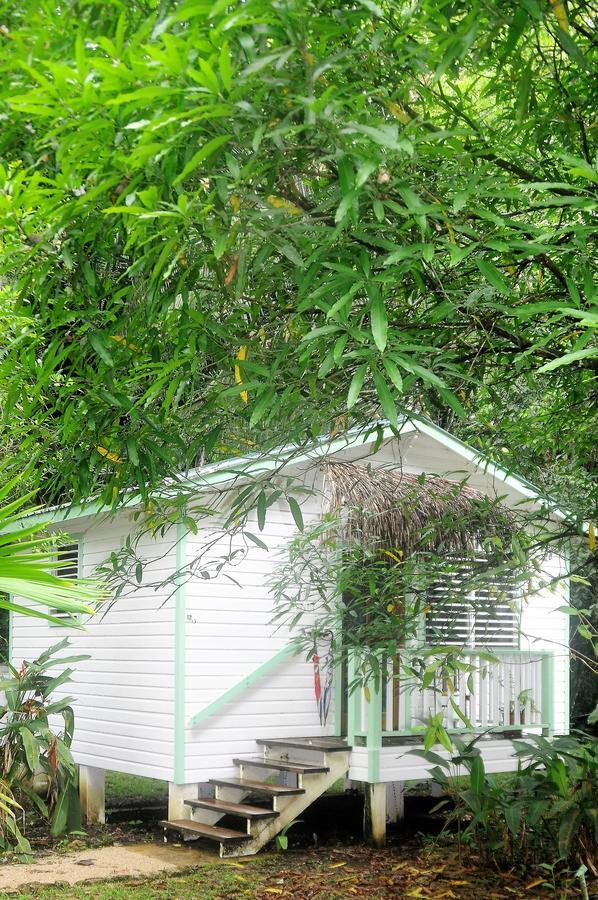 Hickatee Cottages, Belize, Central America Punta Gorda Ngoại thất bức ảnh