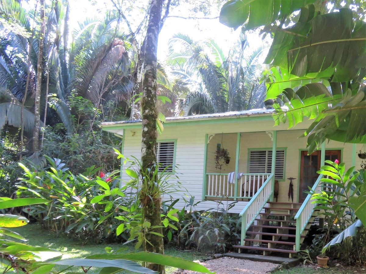 Hickatee Cottages, Belize, Central America Punta Gorda Ngoại thất bức ảnh